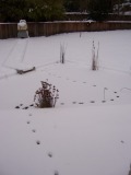 2010-01-10