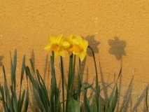 2010-03-21